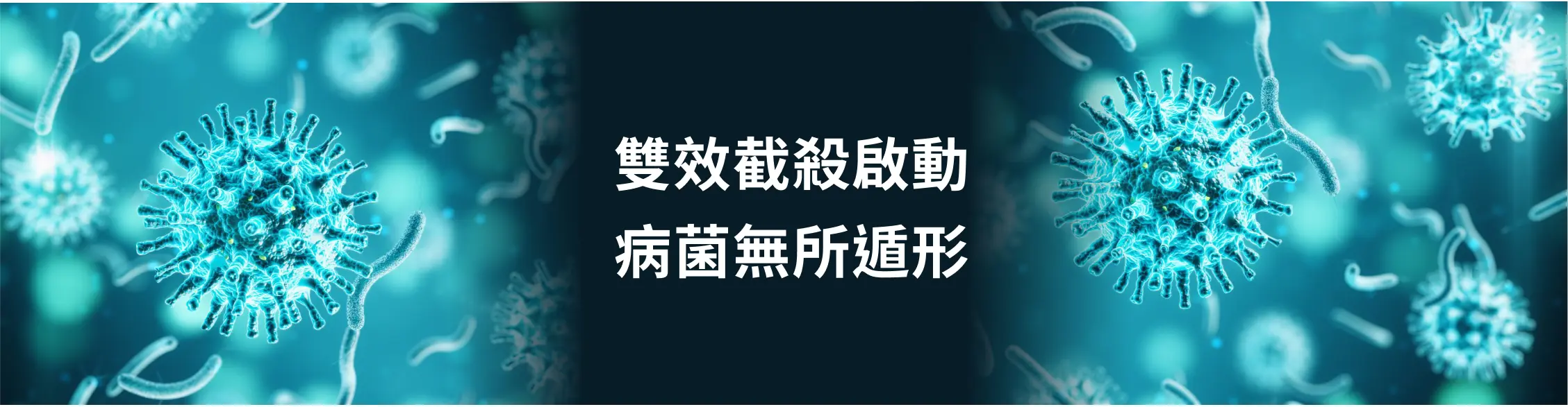 雙效截殺啟動 病菌無所遁形